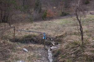Terreno agricolo contornato da bosco ceduo