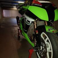 Kawasaki ZX-10R 2009 - solo pista