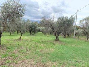 Gallicano nel Lazio terreno agricolo