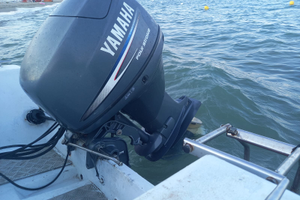 Barca sessa con Yamaha 40cv 4 t