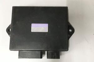 centralina  YAMAHA TDM 850  4TX