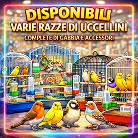 Uccellini con gabbie