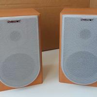 CASSE SONY SS-CNE3