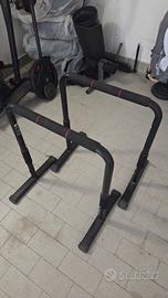 Parallele domyos