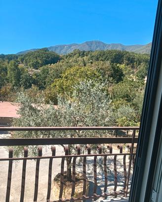 APPARTAMENTO IN VILLETTA