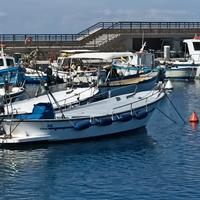 Barca Gozzo Squalo 7.30
