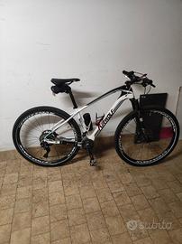 MTB carbonio da 29 