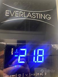 Armadio freezer -18° doppia anta