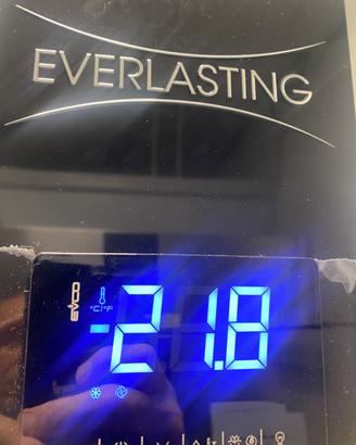 Armadio freezer -18° doppia anta