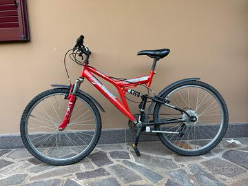 Mtb ragazzo adulto