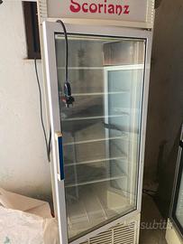 Vetrina freezer illuminata