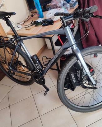 Giant Toughroad SLR 1 2022 - taglia XL