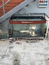 Acquario 1000 litri