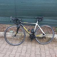 Scott Cavendish Addict CR1