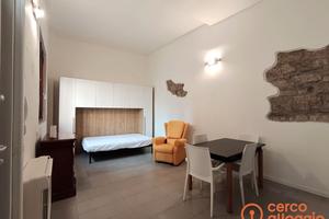 Ampio monolocale S.eufemia