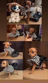 Cuccioli Pinsher Toy