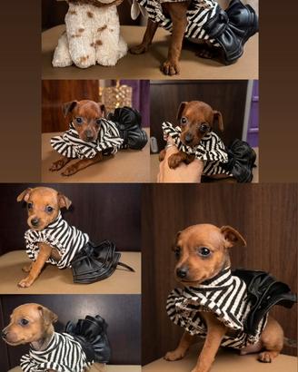 Cuccioli Pinsher Toy