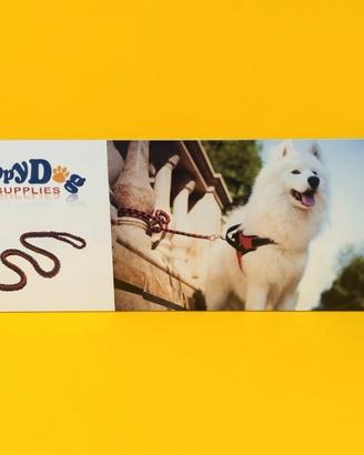 2 Pannelli Retroilluminati a LED