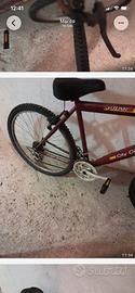 Bici montain bike