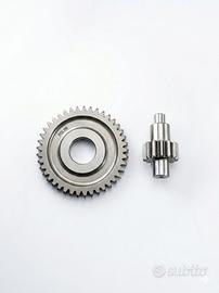 Rapporti secondari 14/41 minarelli orizz/vert