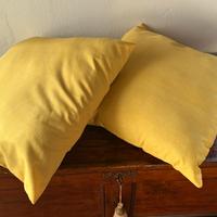 Coppia cuscinoni gialli