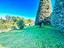 Immagine 10