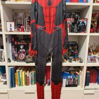Spiderman Cosplay