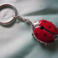 COCCINELLA IN ARGENTO