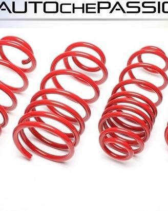 Kit molle sportive Ta-Tecnix per Subaru Impreza V 