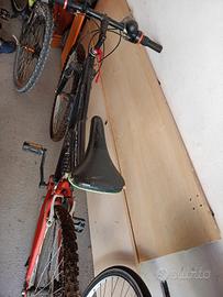 Bici Uomo