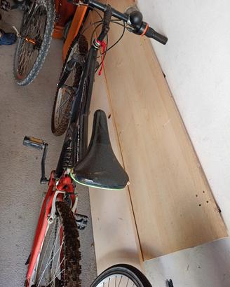 Bici Uomo