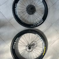 Cerchi enve m6