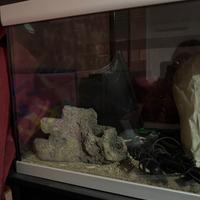 Acquario con mobile