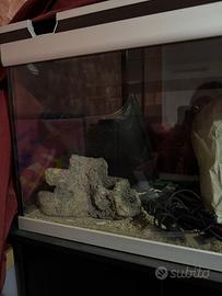 Acquario con mobile