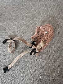 Museruola cane