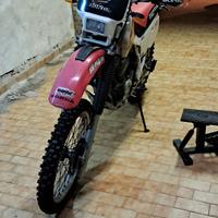 Honda Dall'Ara XR 600 - 1995