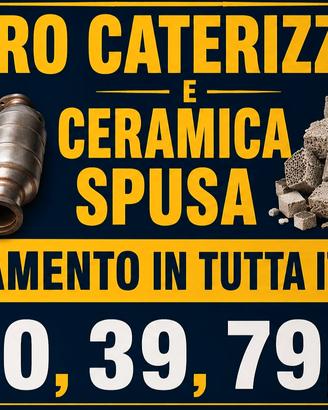 fap catalizzatori 