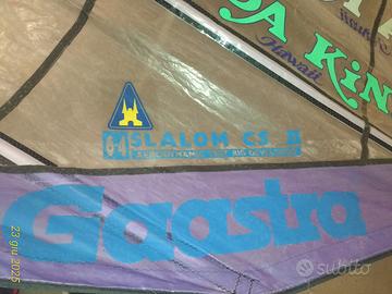 Vela da Windsurf 6.4 mq Gaastra