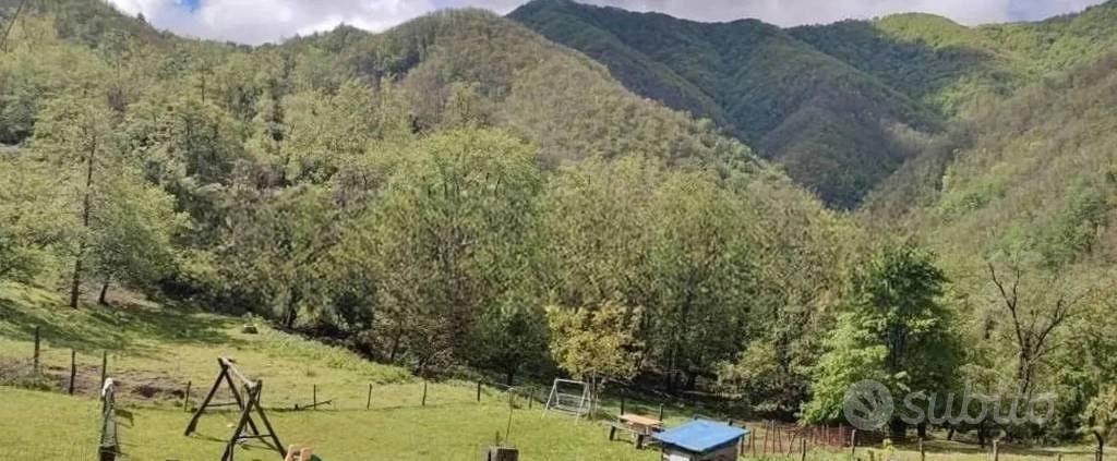 Immobile in asta di 40727 m² a Mulazzo - Vista 2