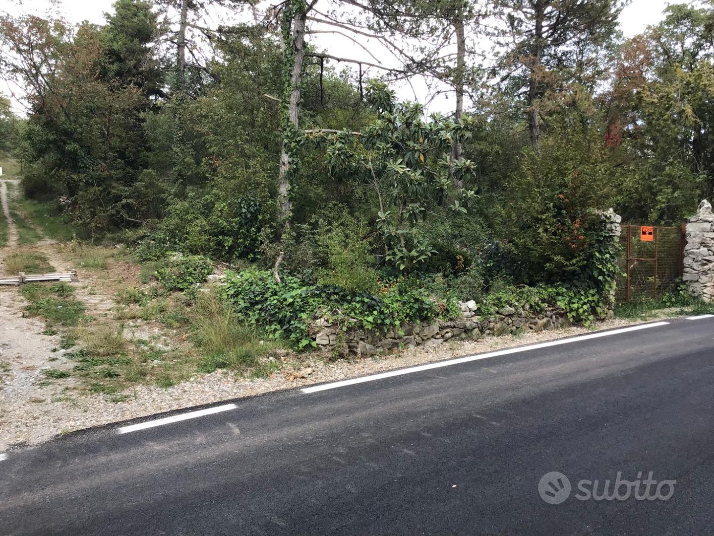 TERRENO 1100 MQ. FRONTE STRADA SGONICO TRIESTE - Vista 3