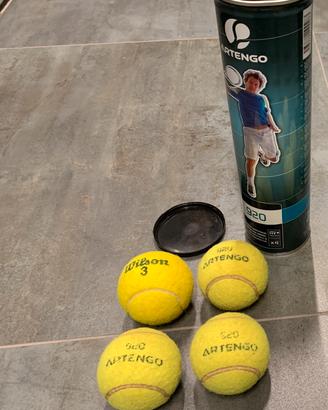Palle da tennis Artengo e Wilson