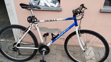 Bicicletta Vicini