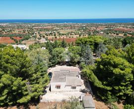 VILLA SINGOLA A POLIGNANO A MARE