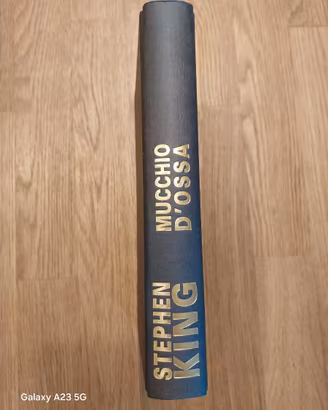 STEPHEN KING - MUCCHIO D'OSSA