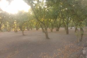 Terreno Agricolo