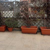 sistema completo  tubo irrigazione terrazza 80m