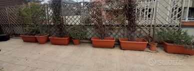 sistema completo  tubo irrigazione terrazza 80m