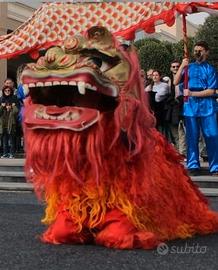 Costumi cinesi per manifestazioni