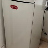 Caldaia a pellet extraflame LP14