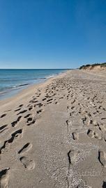 Appartamento corallo rosso-torre mozza